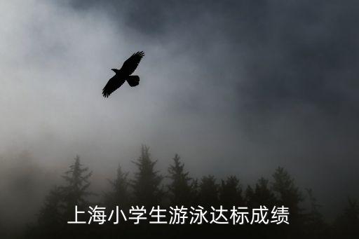 上海小学生游泳达标成绩