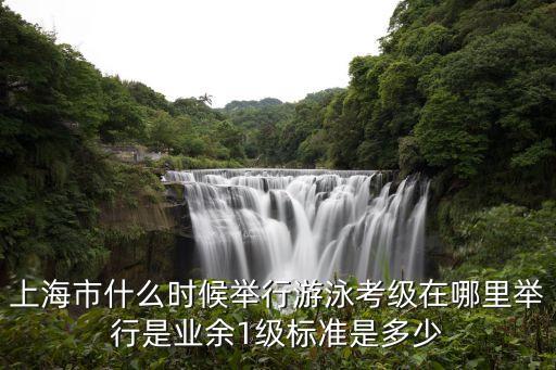 上海市什么时候举行游泳考级在哪里举行是业余1级标准是多少