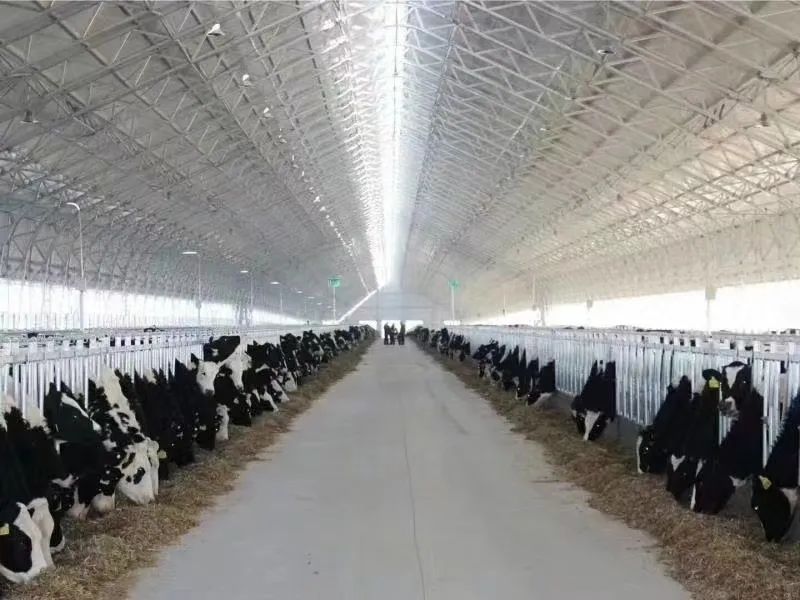 四馆营养餐_餐饮营养_营养餐工作总结
