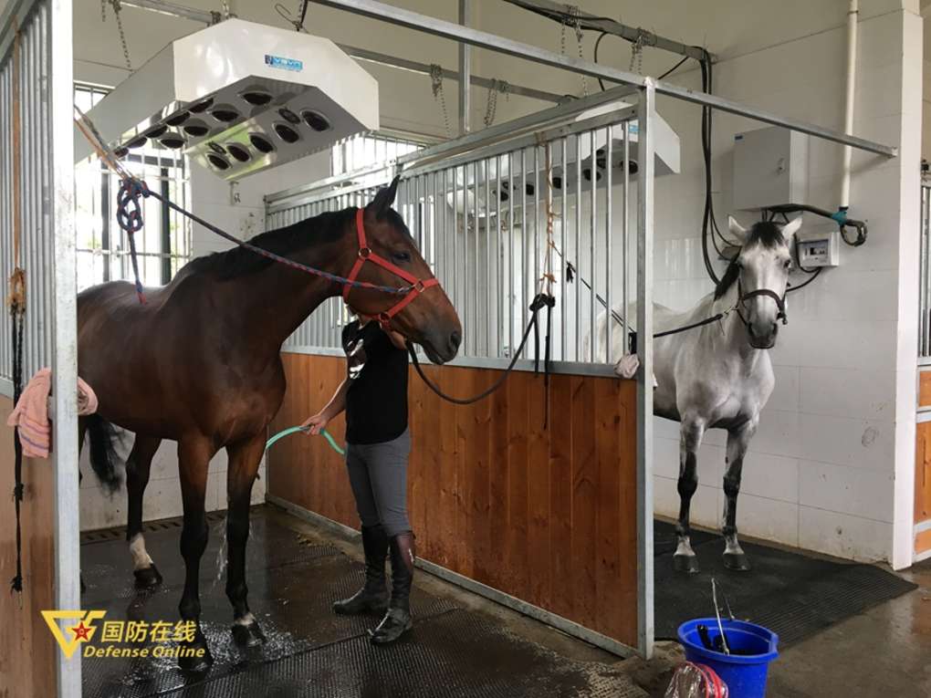 四馆营养餐_营养餐管理系统_餐馆营养间门有什么要求