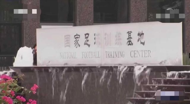 中国足球归化第一人_中国足球归化冠军_足球冠军归化中国是哪一年