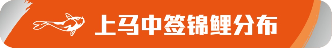 马拉松上海一哥_上海马拉松吧_马拉松上海封路情况