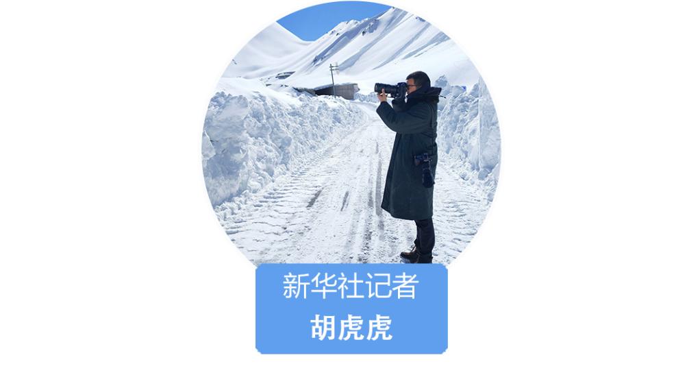 全国篮球小学生冠军_故城小学篮球比赛冠军_2019小学篮球比赛